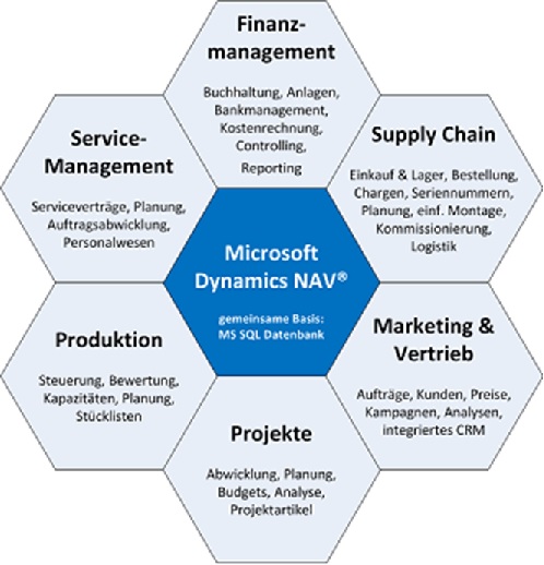 ERP System Microsoft Dynamics NAV